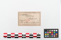 Etiketten zu Bronzegefäßhenkel (NHMW-PRAE-024104)